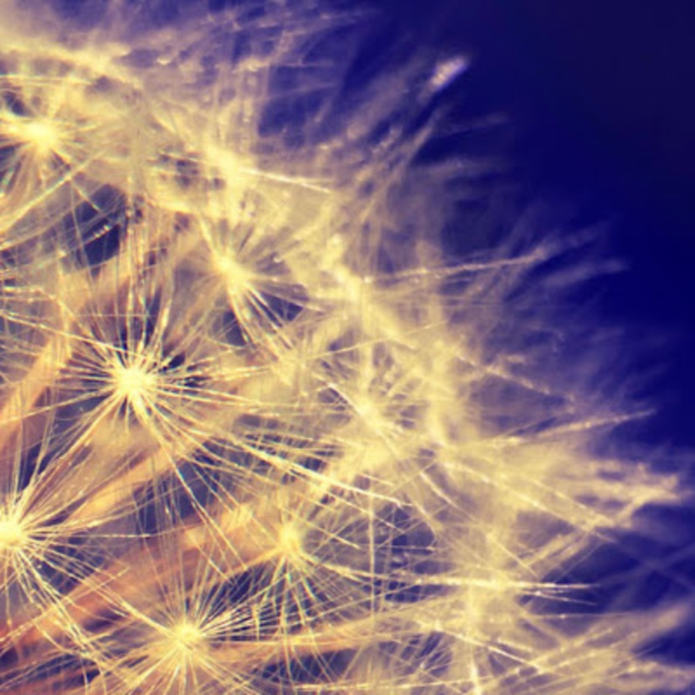 Meet your Posher, Sage